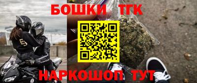 индика Гудермес